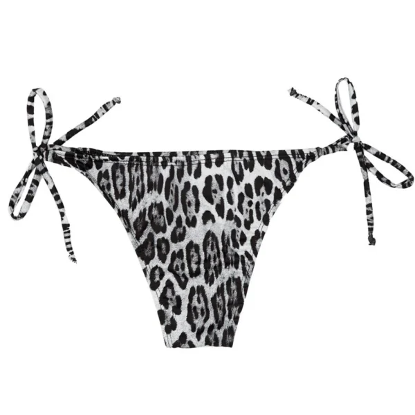 Alternative view of Vedetina tiritas - TDBVET37A